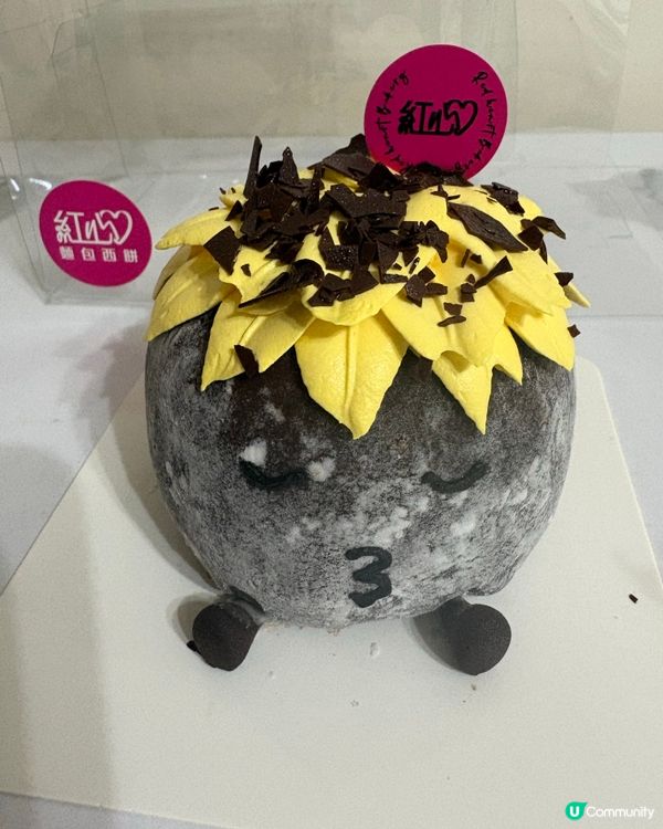 🍫可愛到爆炸打卡蛋糕🍰