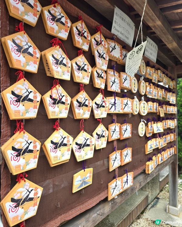 京都飛行神社 ✈️可愛飛機仔绘馬🧧守護你旅途平安😁