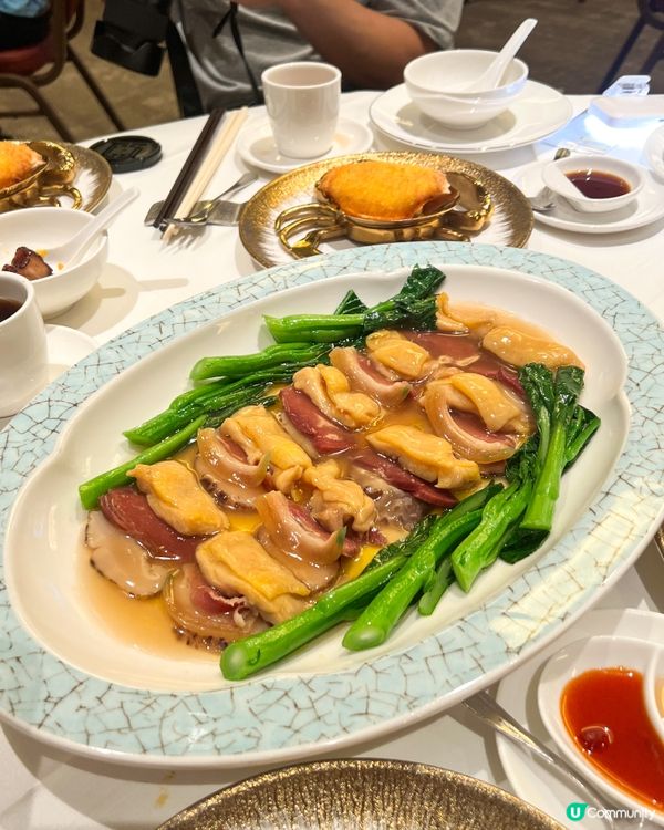 ʚ♡ 精緻粵菜 • 溏心熟醉富貴蝦再三回味 ♡ɞ