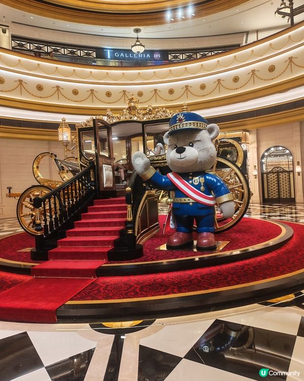 親子熊熊巴士打卡攻略！ 🐻🚌