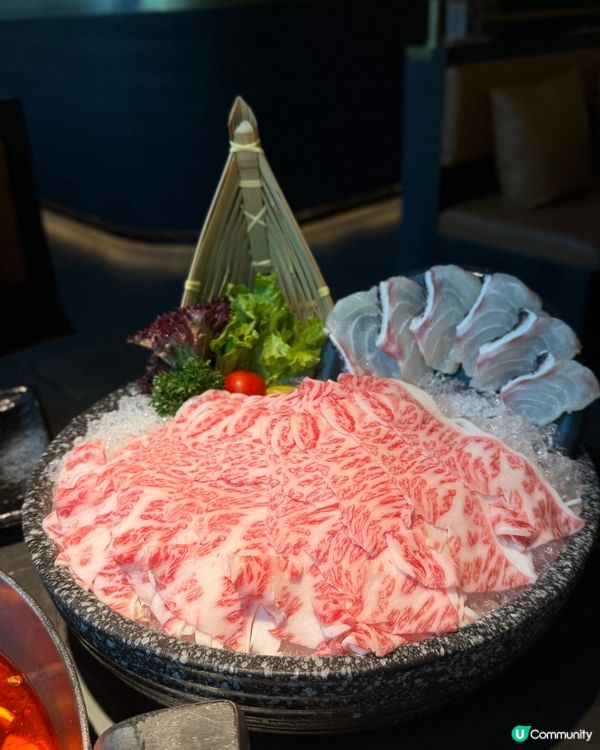 6折湊湊😋