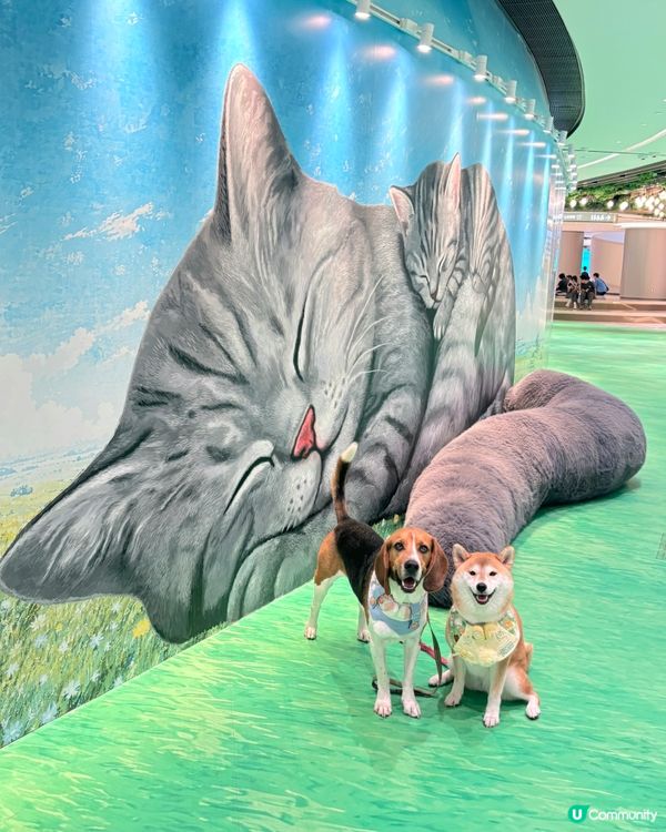 Tobey Coco 去咗 Mega Sky 同10米巨型哥...