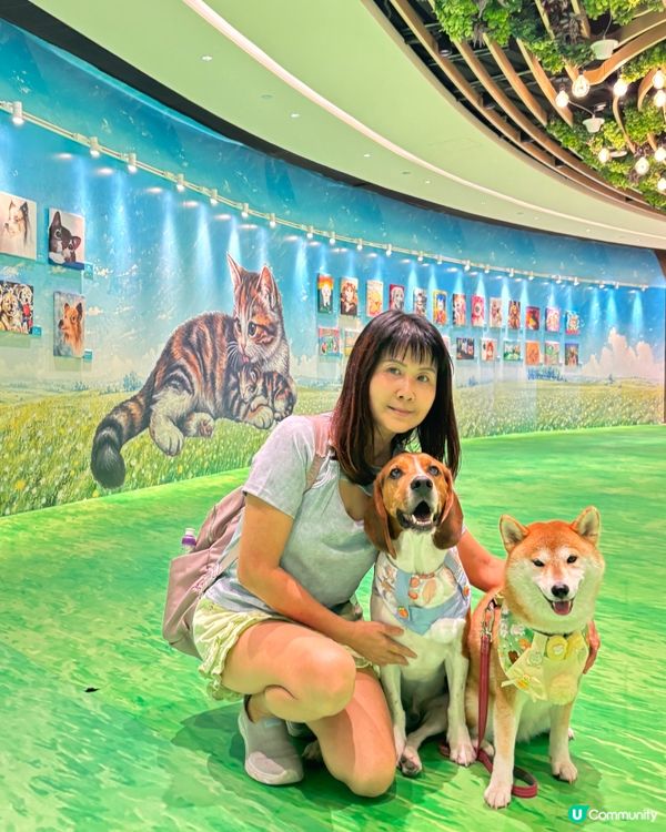 Tobey Coco 去咗 Mega Sky 同10米巨型哥...