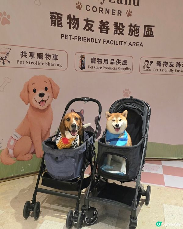 Tobey Coco 去咗 Mega Sky 同10米巨型哥...