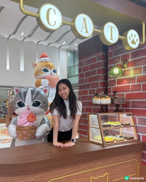 最萌夏日喫茶店☕️貓咪等你打卡！🐾