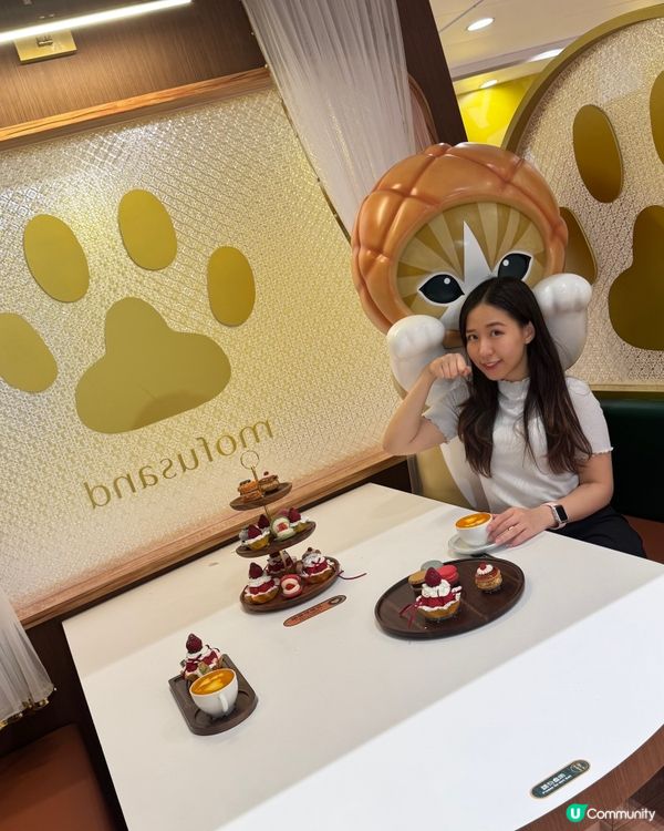 最萌夏日喫茶店☕️貓咪等你打卡！🐾