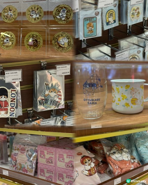最萌夏日喫茶店☕️貓咪等你打卡！🐾