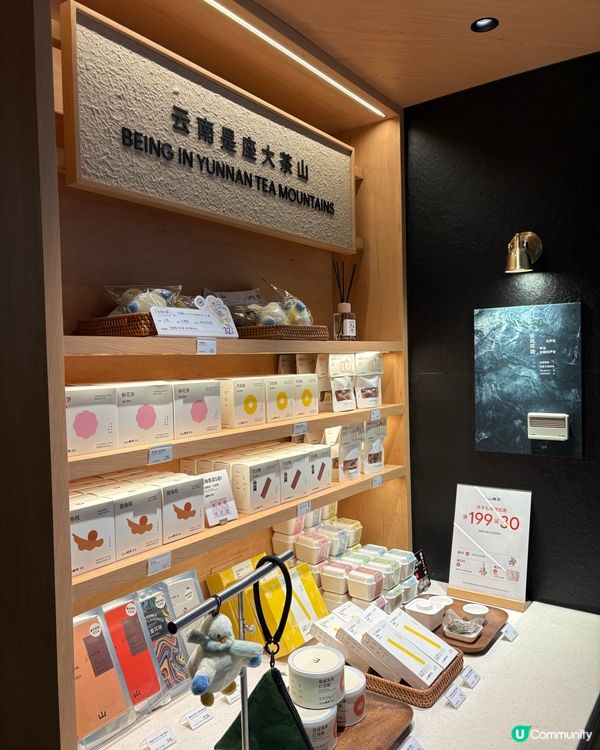 上山喝茶（萬象城Pro)-走進山林感受雲南茶香