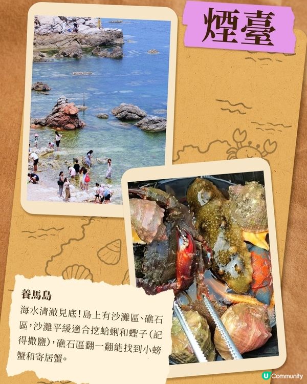 港澳夏日游山東，這些熱門趕海地千萬別錯過