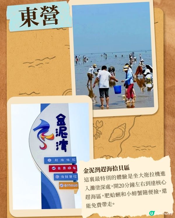 港澳夏日游山東，這些熱門趕海地千萬別錯過
