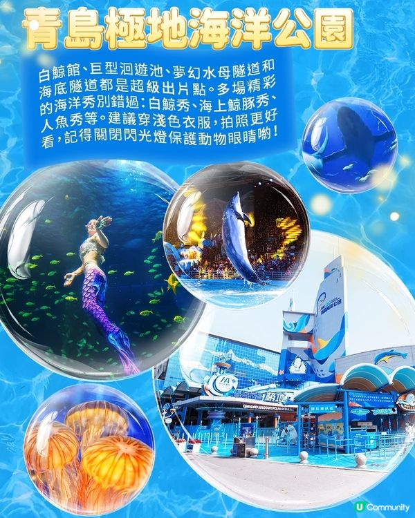 港澳親子遊山東，這些海洋館千萬別錯過