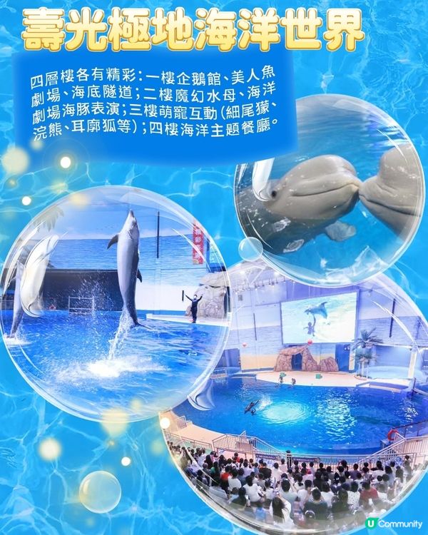 港澳親子遊山東，這些海洋館千萬別錯過