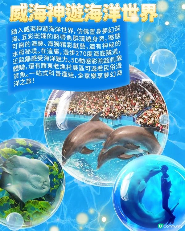 港澳親子遊山東，這些海洋館千萬別錯過