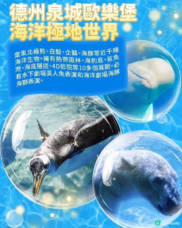 港澳親子遊山東，這些海洋館千萬別錯過