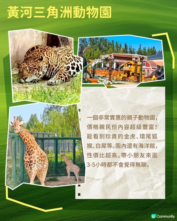 港澳親子遊必逛！山東動物園合集