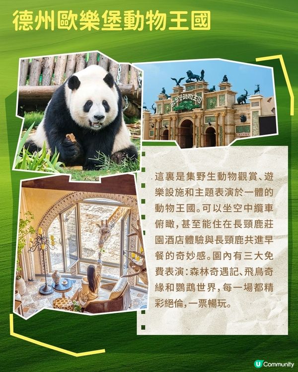 港澳親子遊必逛！山東動物園合集