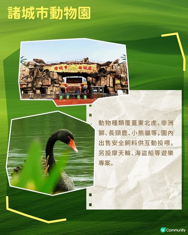 港澳親子遊必逛！山東動物園合集