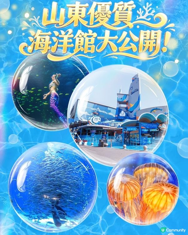 港澳親子遊山東，這些海洋館千萬別錯過