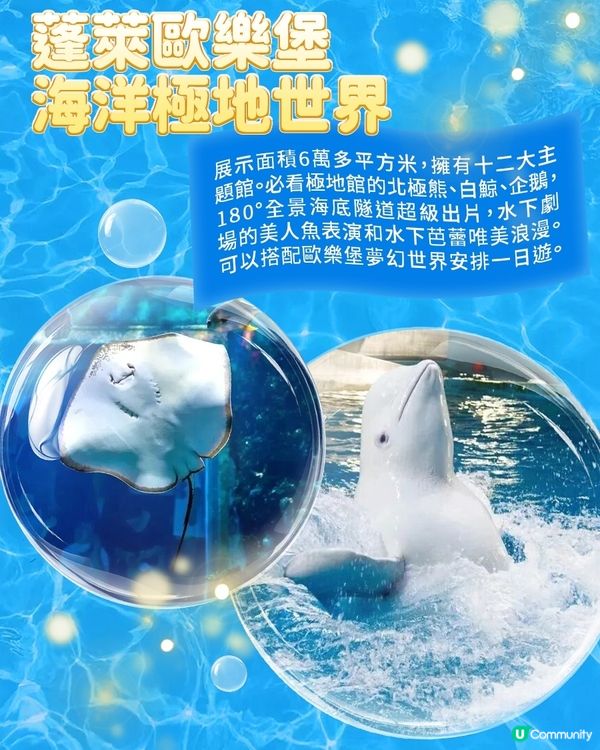 港澳親子遊山東，這些海洋館千萬別錯過