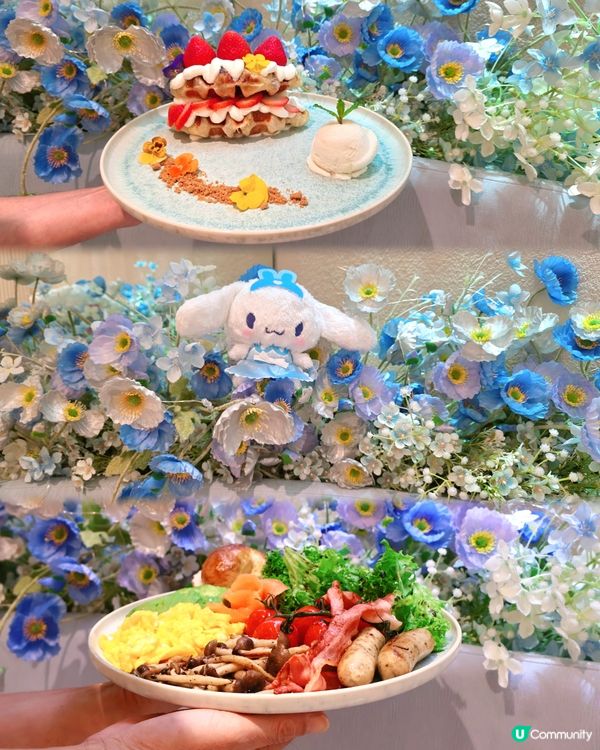 🌟 藍天打卡Cafe☕️🍰