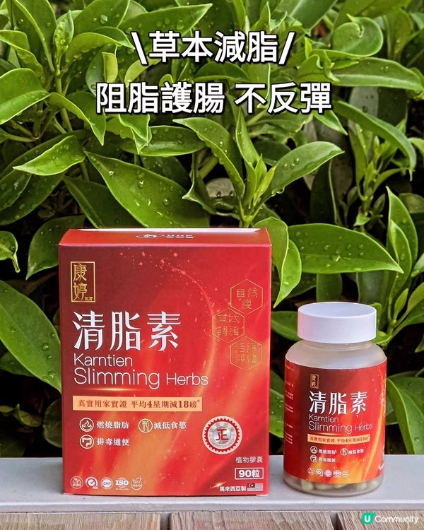 大餐救星💪 輕盈無負擔！