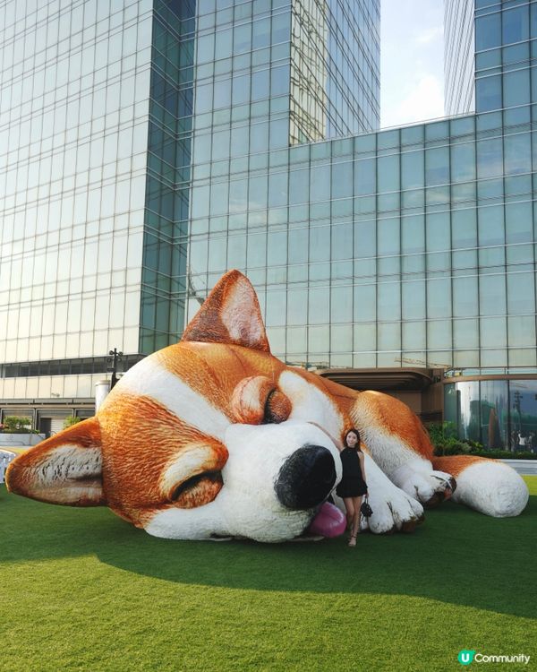 九龍灣新景點！落日花園🐾🌇