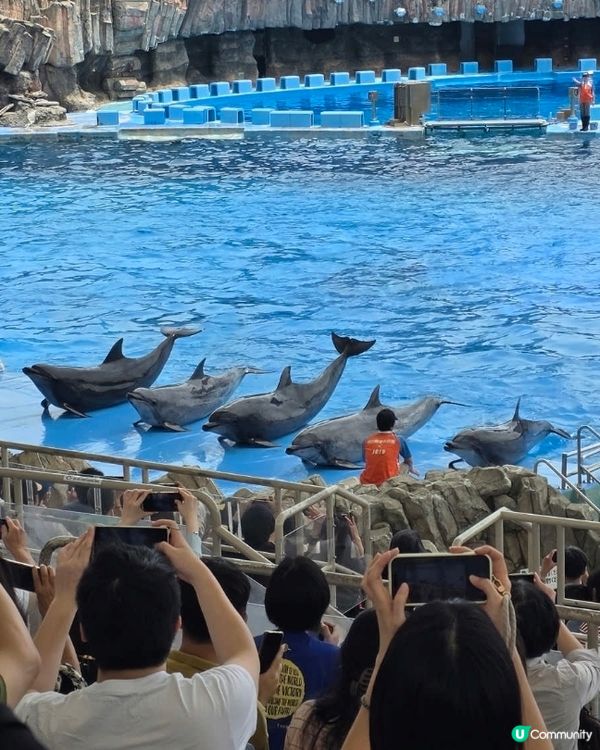 名古屋水族館好多嘢睇！🐳🐬🐧 