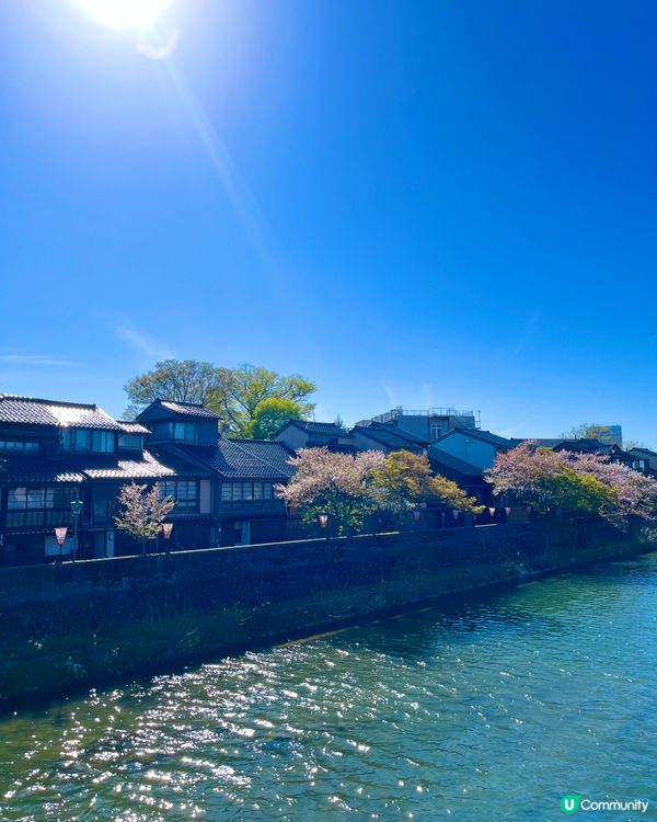 金澤東茶屋街🇯🇵｜江戶歴史風情✨