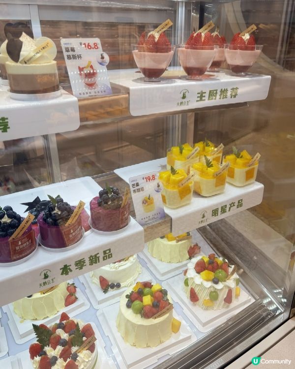 顏值與實力並存的夢幻甜點!這家神仙蛋糕店,慶生選它不出錯!