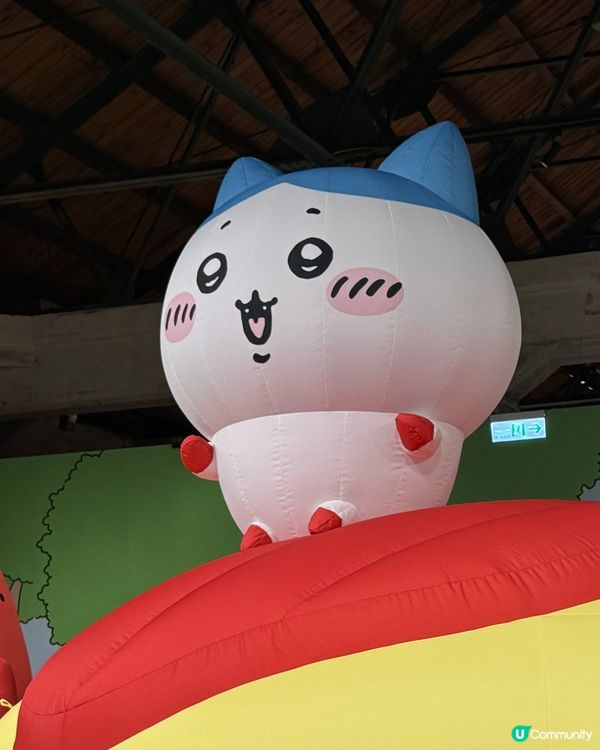 小八