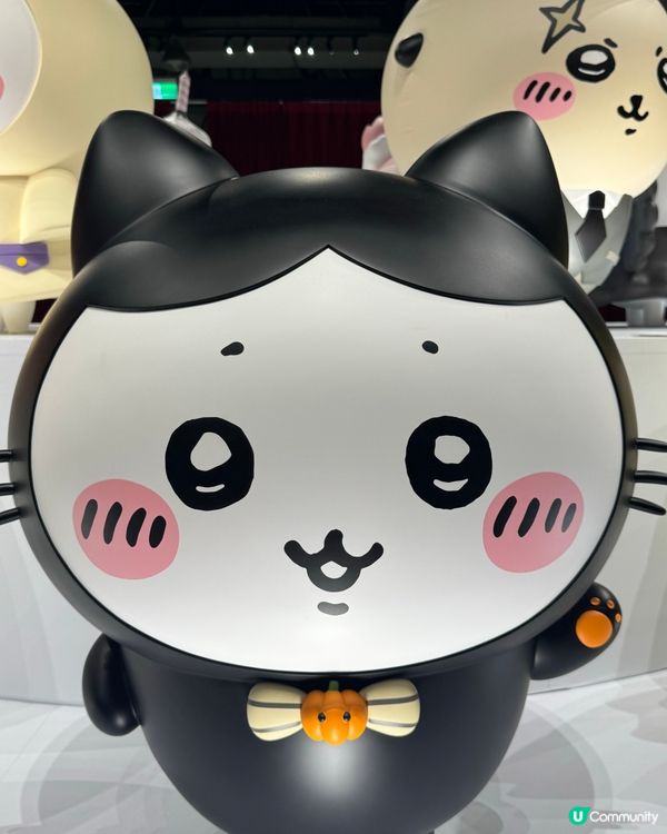 小八