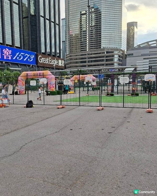 灣仔運動節 🚲🥍🏏🏀🤿🎣🪂