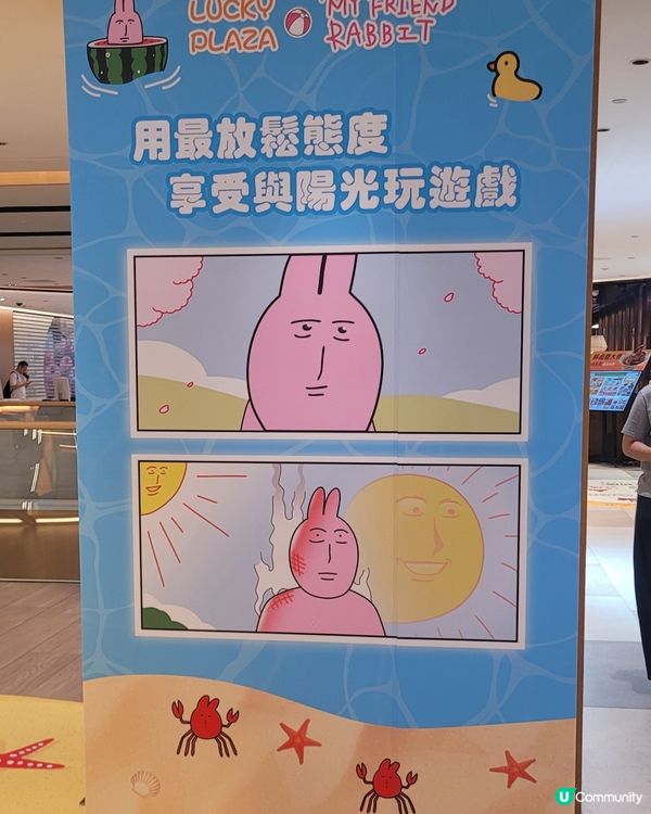 my friend rabbit
