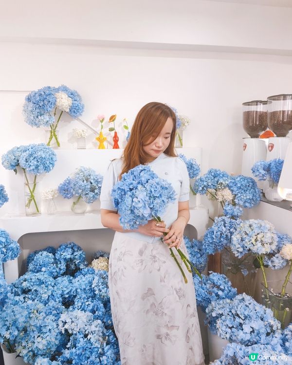 💠💙🤍期間限定繡球花cafe💙
