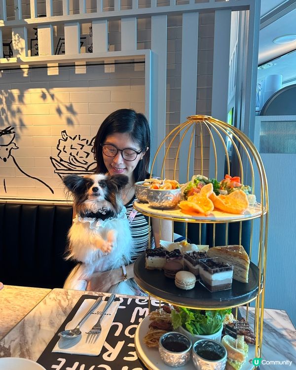 
又去左食港女afternoon tea🫖🐶
