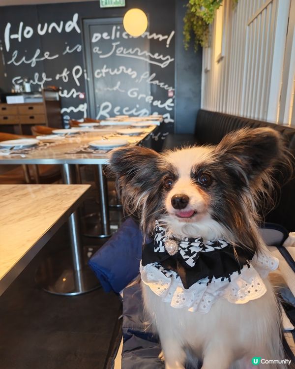 
又去左食港女afternoon tea🫖🐶