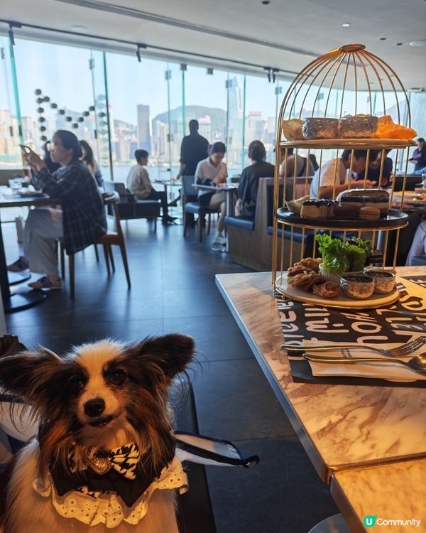 
又去左食港女afternoon tea🫖🐶