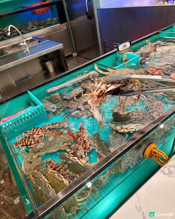 千海水產海鮮放題，實現海鮮自由 🦞🦀🦐 🥳