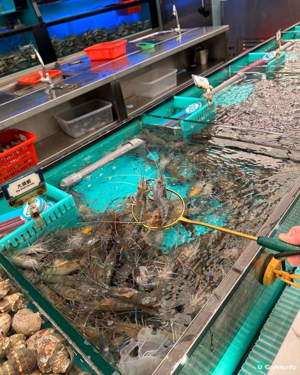千海水產海鮮放題，實現海鮮自由 🦞🦀🦐 🥳