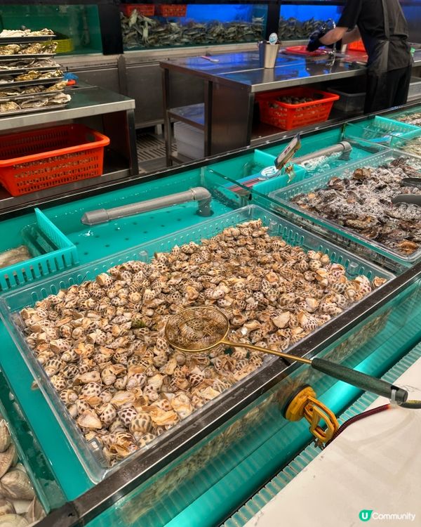 千海水產海鮮放題，實現海鮮自由 🦞🦀🦐 🥳