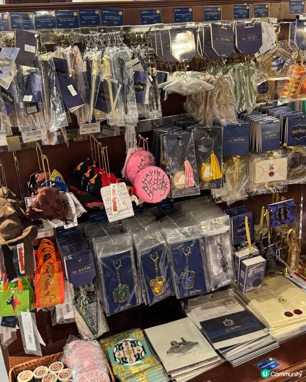希慎哈利波特快閃店🧙‍♂️🛍️粉絲必買🫶🏻❗️