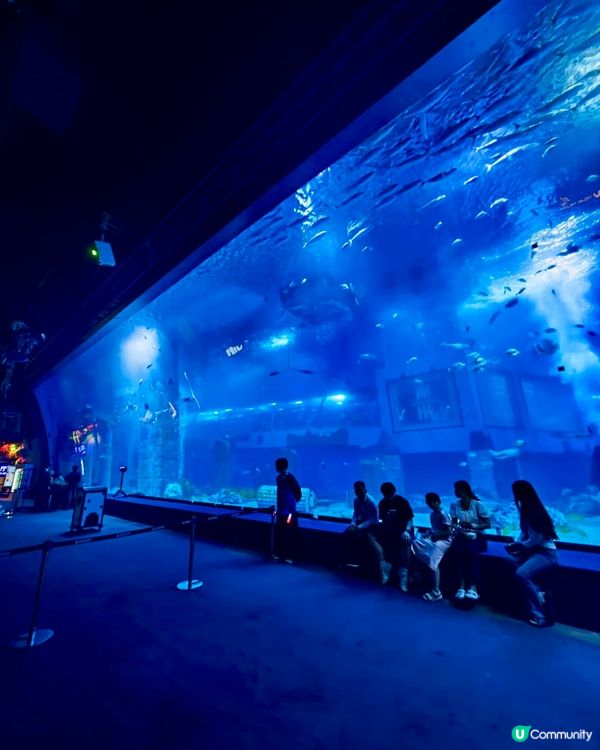 正佳海洋館🤩一家大細放電好去處！
