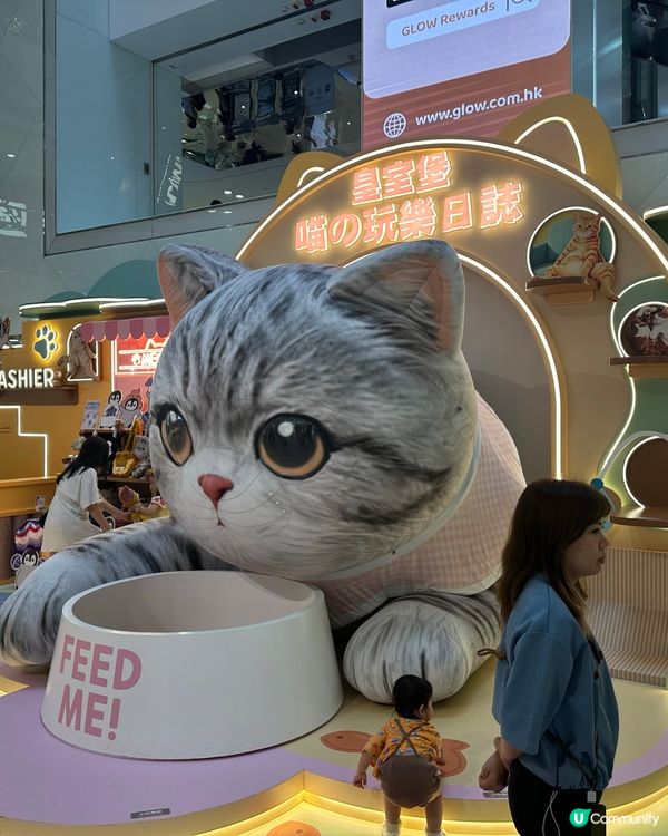 貓奴天堂！🤩🐾