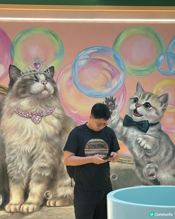 貓奴天堂！🤩🐾