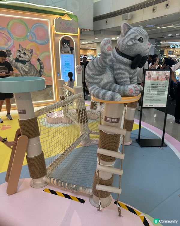 貓奴天堂！🤩🐾