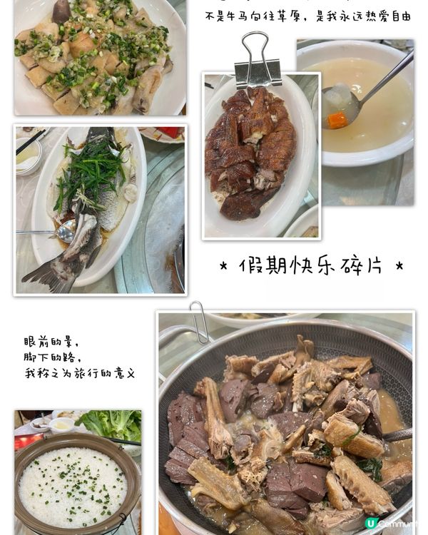 中山圍菜👍松濤居食到！🤤