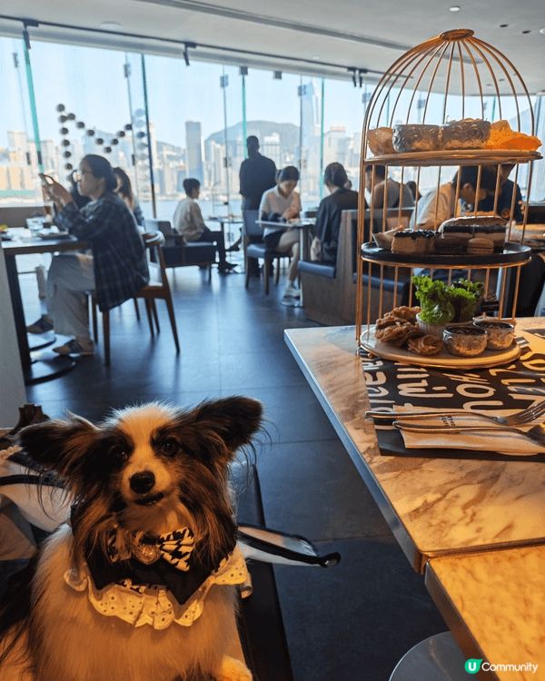 又去左食港女afternoon tea🫖🐶