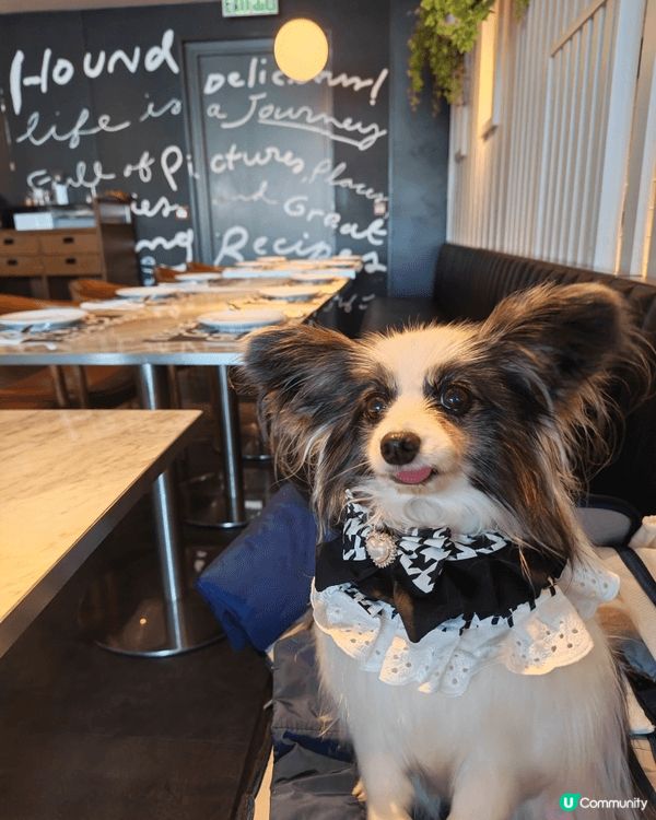 又去左食港女afternoon tea🫖🐶