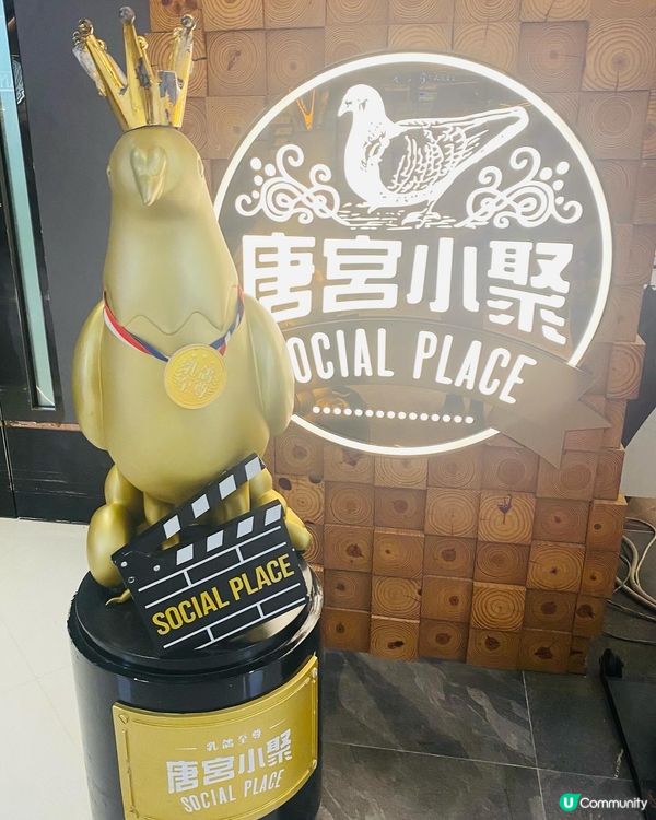 沙田➡️➡️➡️唐宮小聚