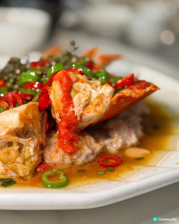尖沙咀米芝蓮廚主理點心粵菜館 膏蟹蒸肉餅/瀨尿蝦粉絲/椒香南非鮑
